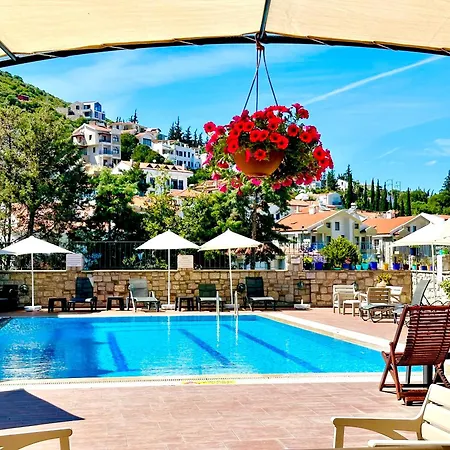 Villa Anfora 3*