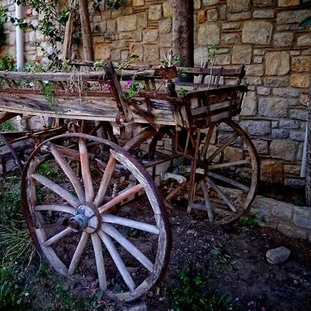 Anfora 3* Datça