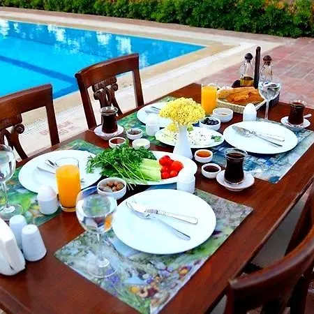 Villa Anfora 3*
